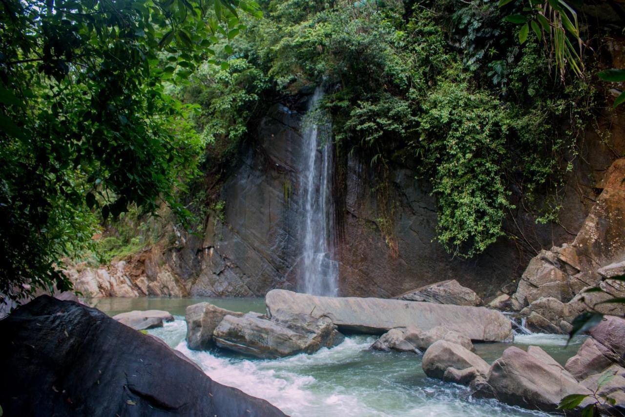 Jungle River Ginigathena Exterior foto